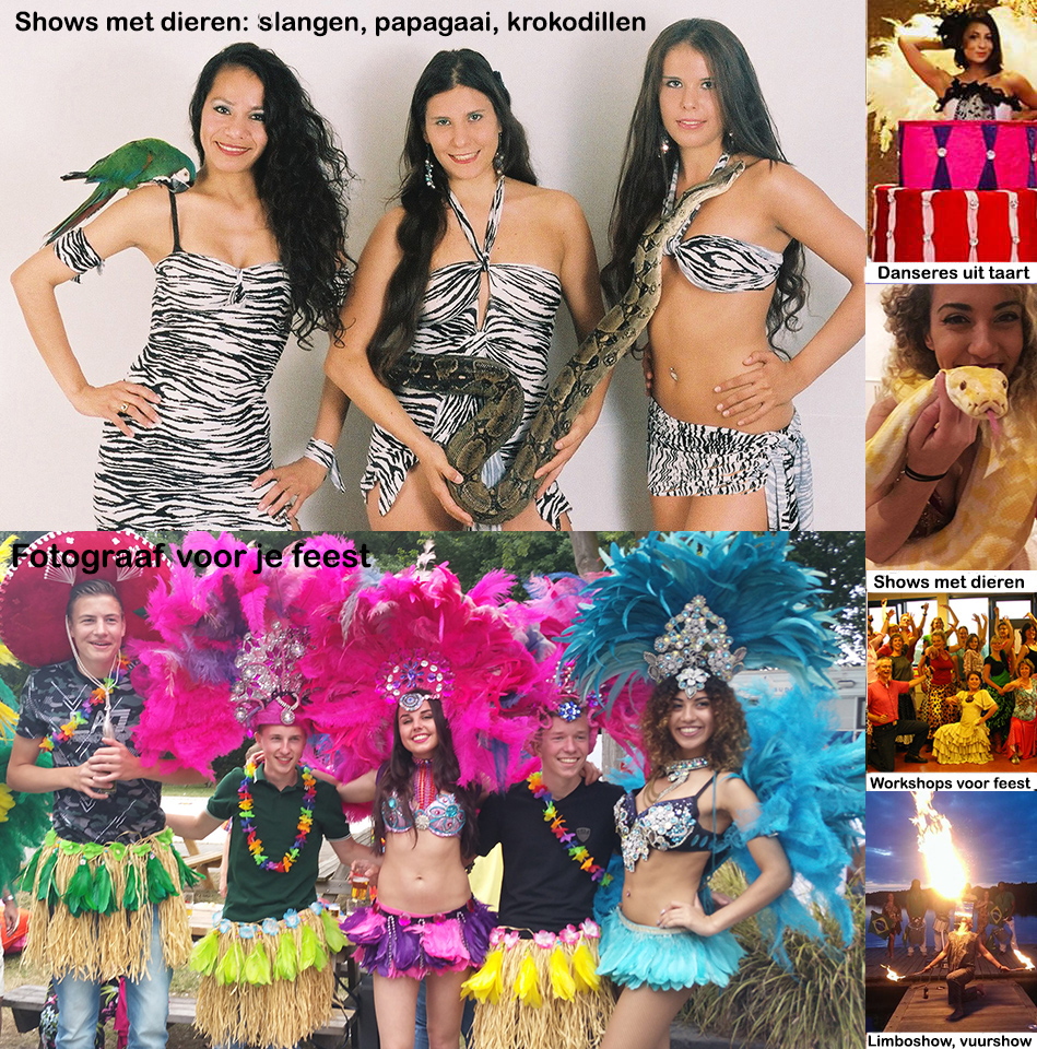 Geluid feest